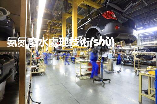 氨氮廢水處理技術(shù)：你所不明白的那些事兒？